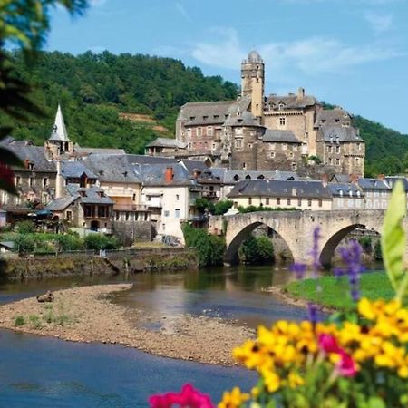 Pierrefiche  T 2 Dans Village Vacances 3 *** A Saint Geniez 2 Piscines Chauffee מראה חיצוני תמונה