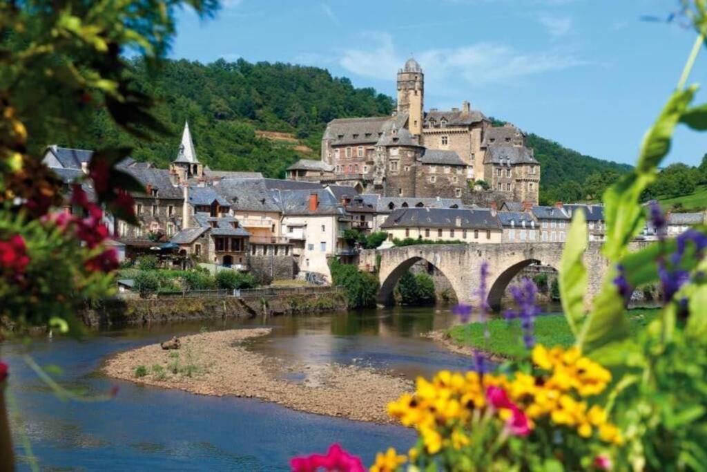 Pierrefiche  T 2 Dans Village Vacances 3 *** A Saint Geniez 2 Piscines Chauffee מראה חיצוני תמונה